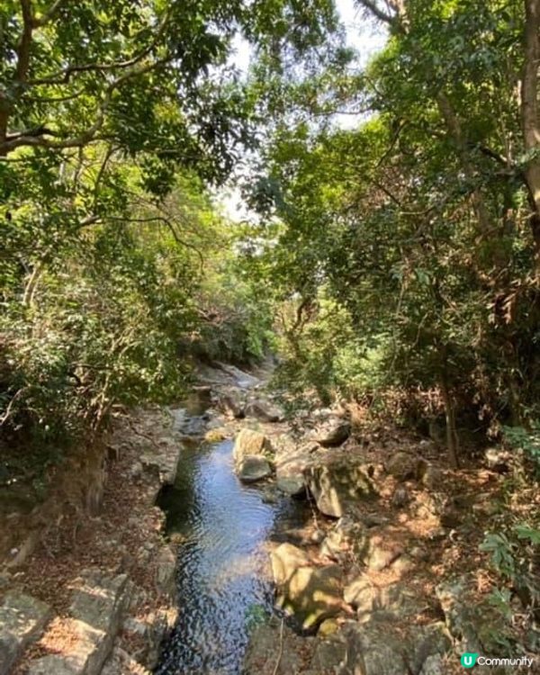 野餐或行山嘅好處就係唔使困喺冷氣房裏面，或者又係室內裏面睇電...