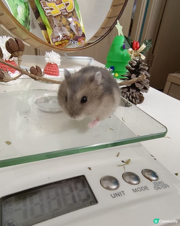 Merry Christmas & happy new ye...