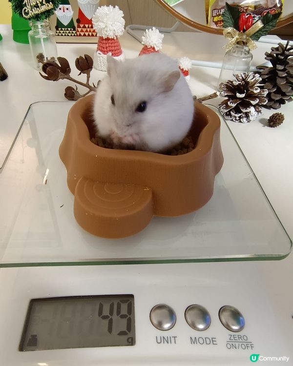 Merry Christmas & happy new ye...