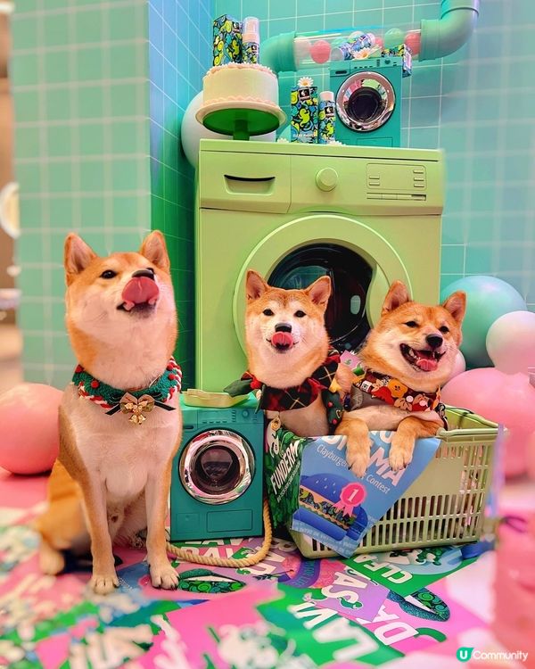 呢個位好隱蔽😝 去到k11既2樓，攞住我呢張相問附近職員🤗 ...