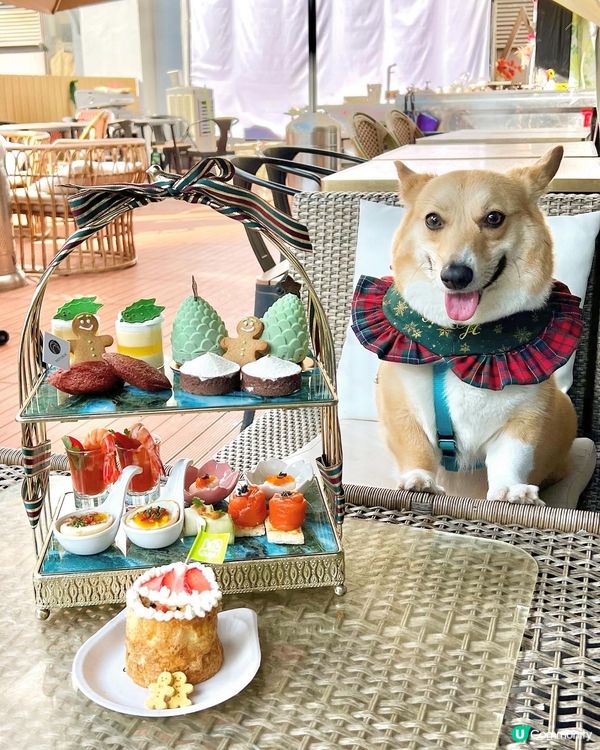 《𝓡𝓸𝓶𝓪𝓷𝓽𝓲𝓬 𝓣𝓮𝓪 𝓣𝓲𝓶𝓮🧁》...