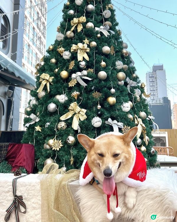 《𝓡𝓸𝓶𝓪𝓷𝓽𝓲𝓬 𝓣𝓮𝓪 𝓣𝓲𝓶𝓮🧁》...