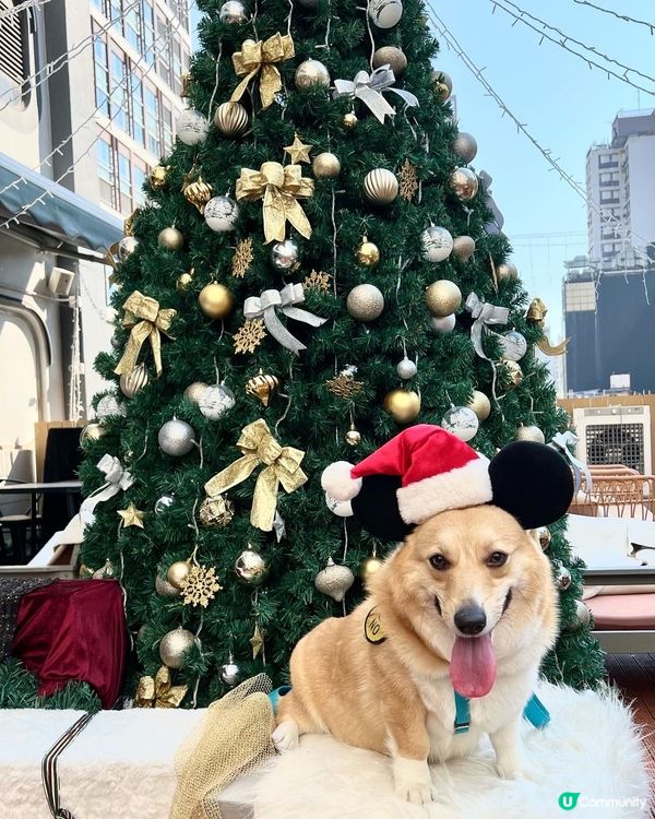 《𝓡𝓸𝓶𝓪𝓷𝓽𝓲𝓬 𝓣𝓮𝓪 𝓣𝓲𝓶𝓮🧁》...