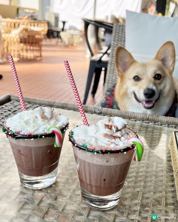 《𝓡𝓸𝓶𝓪𝓷𝓽𝓲𝓬 𝓣𝓮𝓪 𝓣𝓲𝓶𝓮🧁》...