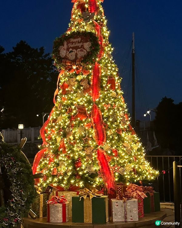 東迪聖誕樹🎄