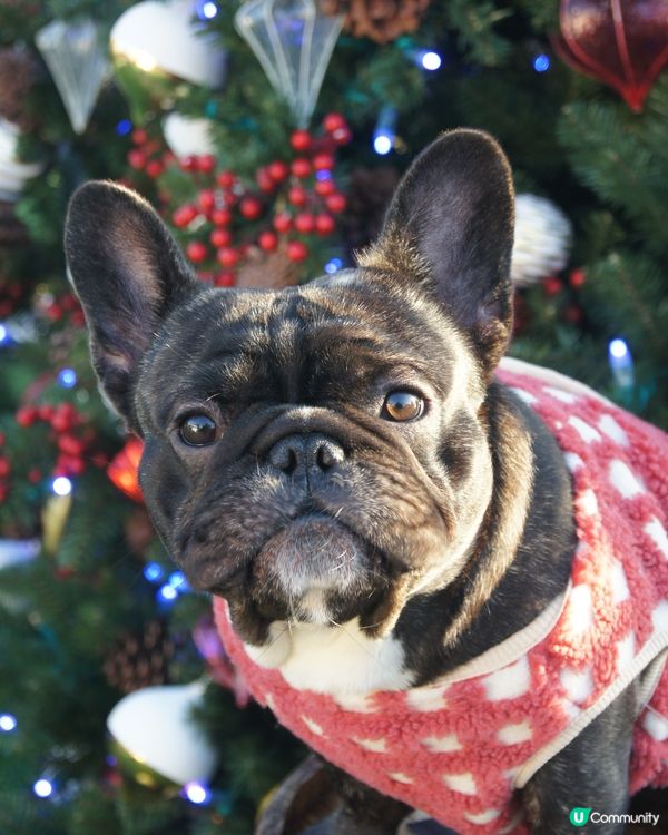 大家好啊☺️多識U Lifestyle邀請我加入✨✨