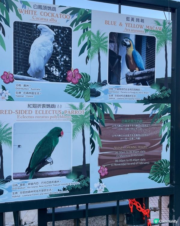 百鳥苑位於九龍公園，這裏有過百隻不同，雀鳥觀看及欣賞，值得一...