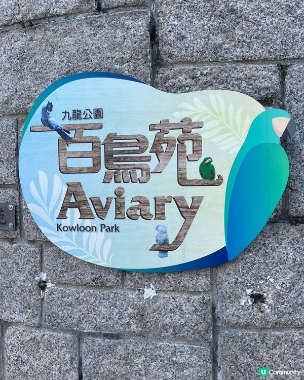 百鳥苑位於九龍公園，這裏有過百隻不同，雀鳥觀看及欣賞，值得一...