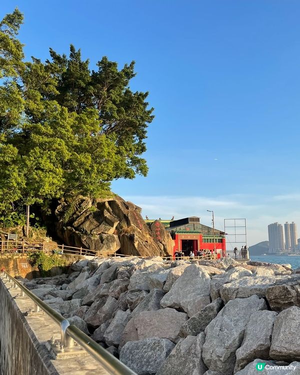 鯉魚門既心願樹吸引不少人黎到祈福或者許願，也成為打卡熱點👍...