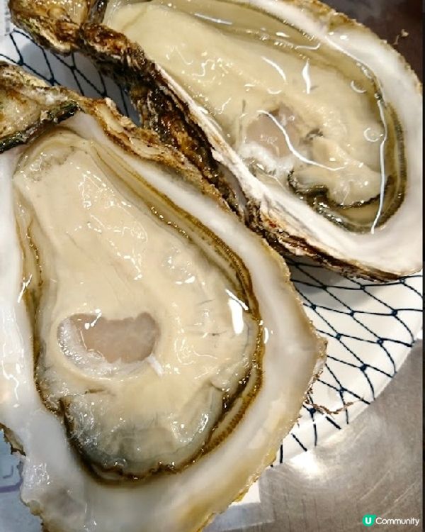 自肋餐一定要揀間有生蠔先會去😋