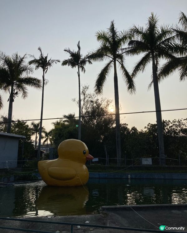 睇相睇相！大人細路都玩得