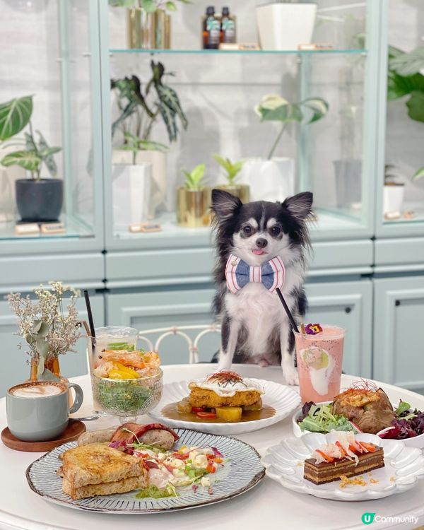 ✨ 𝕋𝕙𝕖 ℙ𝕠𝕟𝕥