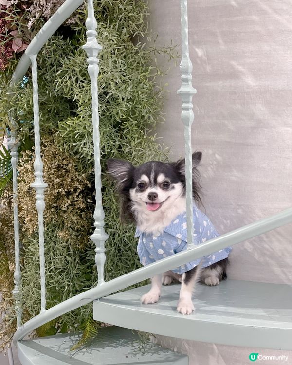 ✨ 𝕋𝕙𝕖 ℙ𝕠𝕟𝕥