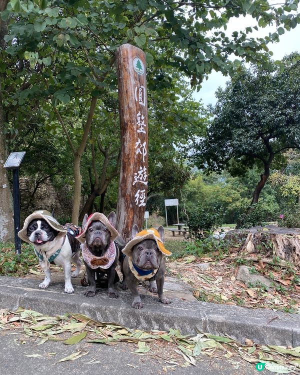 😎2023年第一個⛰️