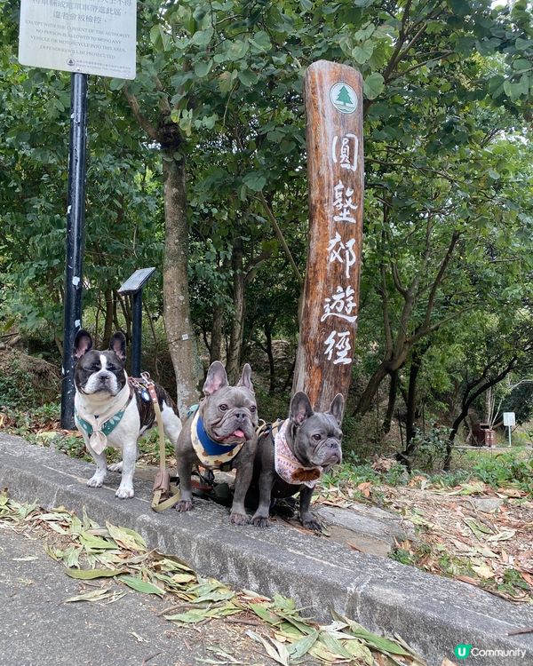 😎2023年第一個⛰️