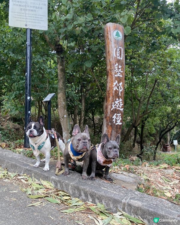 😎2023年第一個⛰️