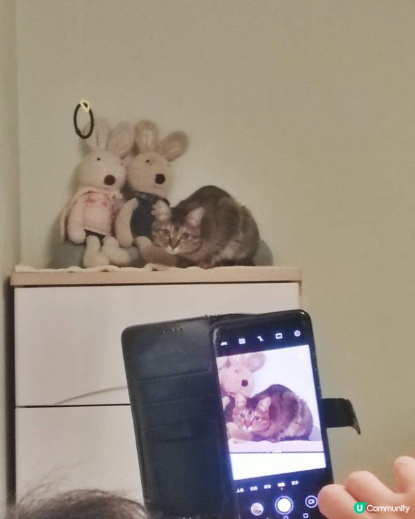 爸爸的溺愛，就是小菲菲擺什麼動作，爸爸都會提起電話，影個痛快...