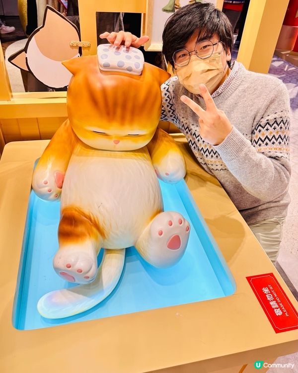 朗豪坊😻mofusand 春日貓遊遊