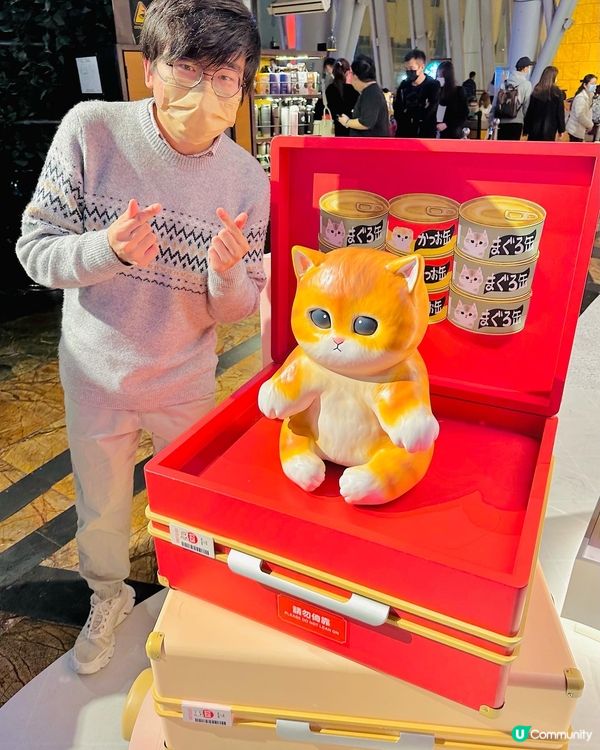 朗豪坊😻mofusand 春日貓遊遊
