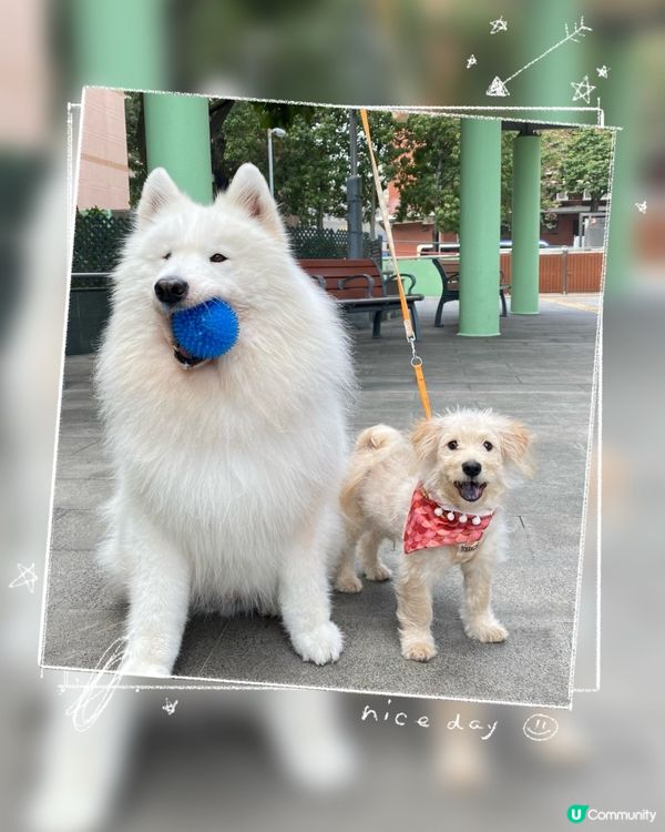 With西摩朋友snowby☺️🤍🧡