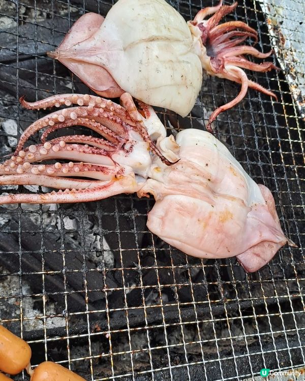 燒魷魚🦑