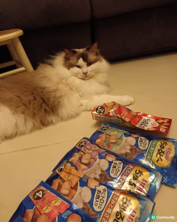 放咁多零食都引誘唔到你，無動於衷，勁搞笑😂😂😂