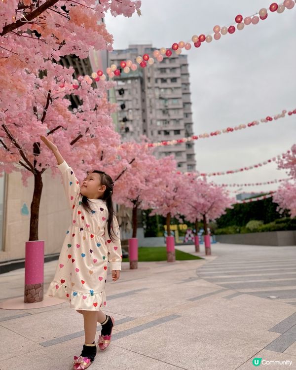 🧧今年，新鴻基地產旗下