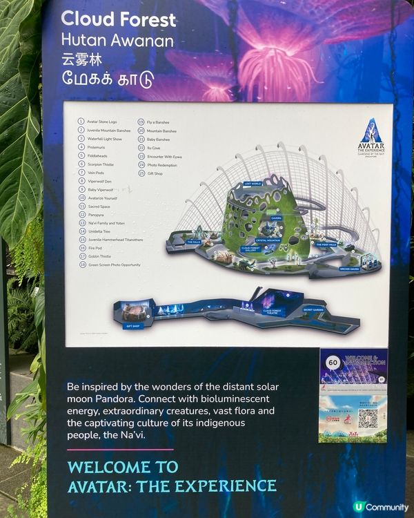 🇸🇬濱海灣花園 Garden by The Bay 必去...