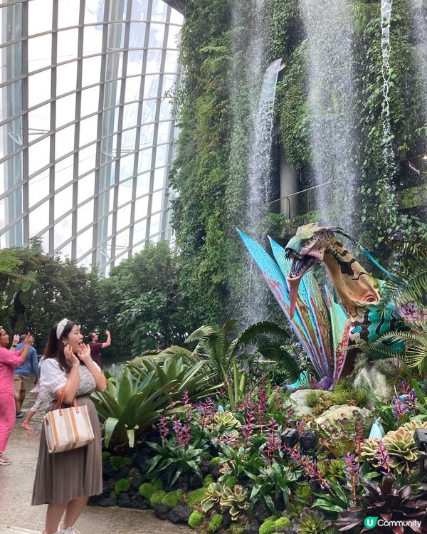 🇸🇬濱海灣花園 Garden by The Bay 必去...