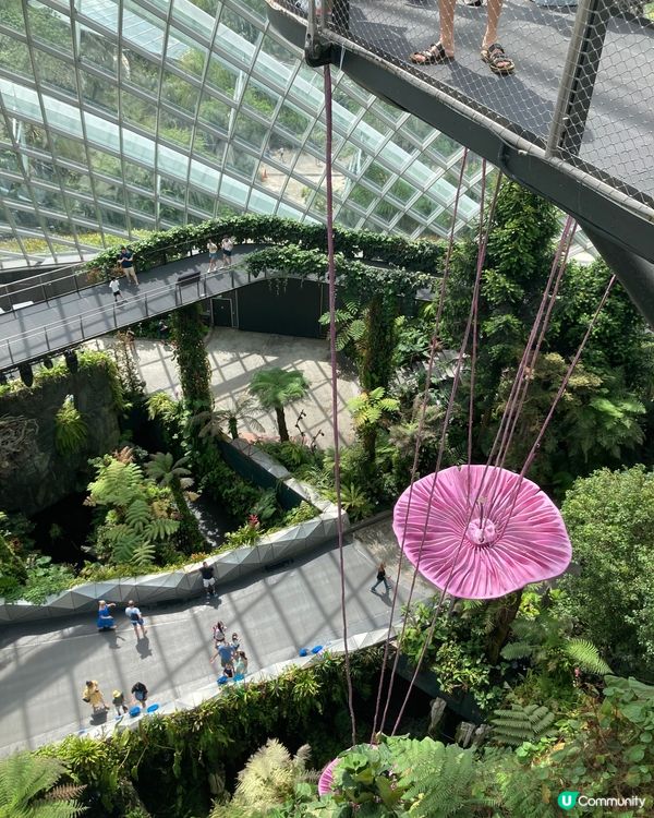 🇸🇬濱海灣花園 Garden by The Bay 必去...