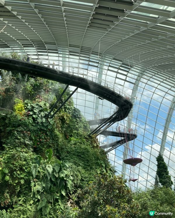 🇸🇬濱海灣花園 Garden by The Bay 必去...