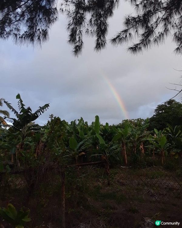 雨過後有彩虹🌈，仲記得嗰日去服務，又落雨，全身黐立立，個人...