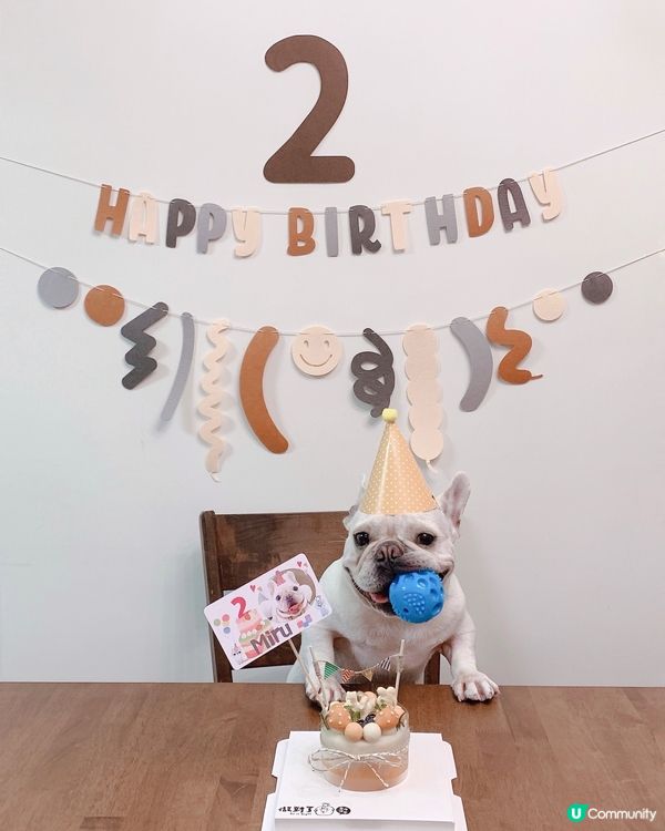 Happy birthday 可愛的miru仔🎈🐖