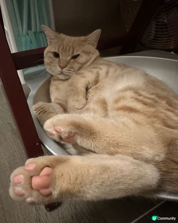 影到我大腳八咁😾
