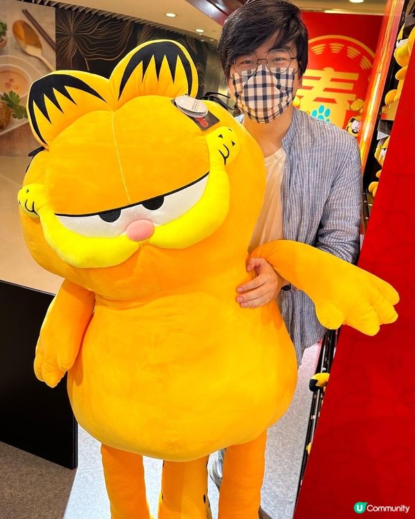 💛 GARFIELD