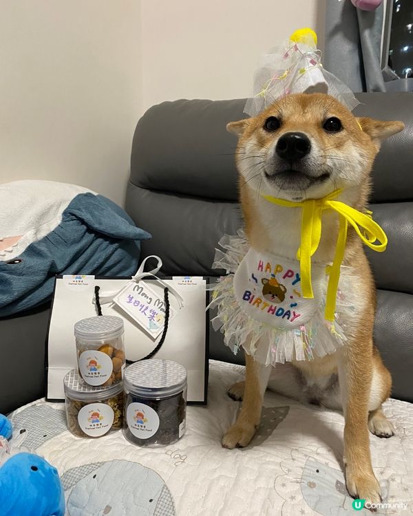 禾就快一歲生日啦 好多謝拉拉媽送俾禾既生日禮物 係佢自己整既...