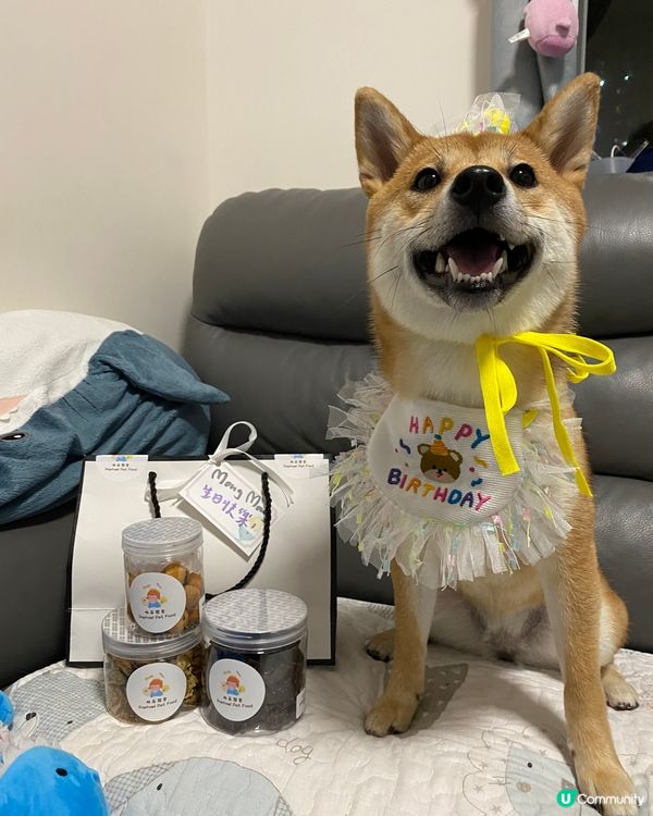 禾就快一歲生日啦 好多謝拉拉媽送俾禾既生日禮物 係佢自己整既...