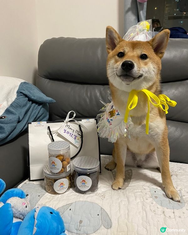禾就快一歲生日啦 好多謝拉拉媽送俾禾既生日禮物 係佢自己整既...