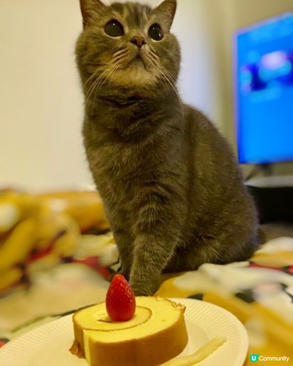 準你食生日蛋糕🎂