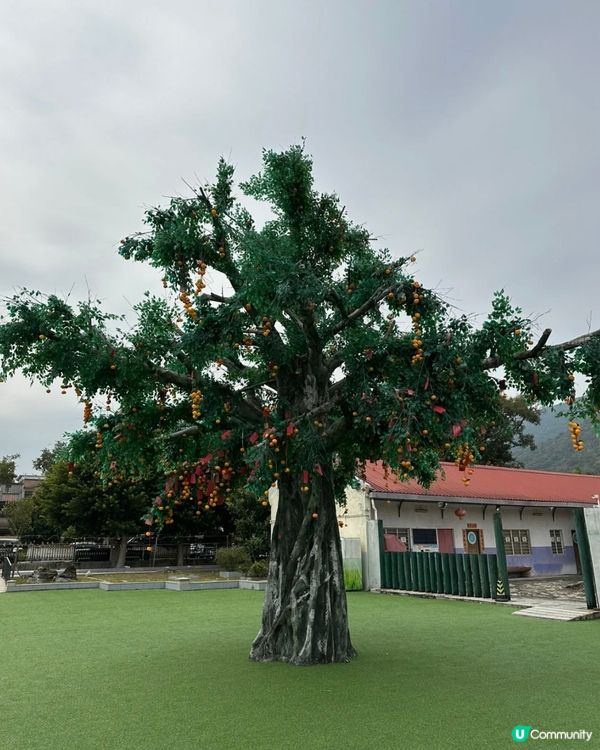 大年初一的時候去了大埔林村許願，一次就能把願望寶碟拋到許願樹...