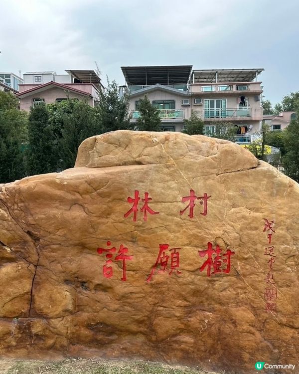 大年初一的時候去了大埔林村許願，一次就能把願望寶碟拋到許願樹...