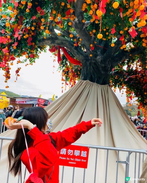 大年初一的時候去了大埔林村許願，一次就能把願望寶碟拋到許願樹...