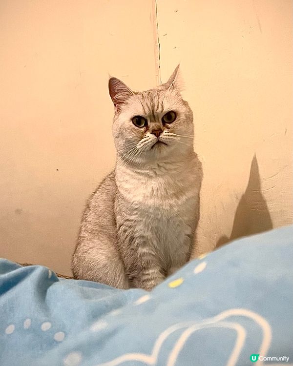 一早起身發現有人睥住我😰