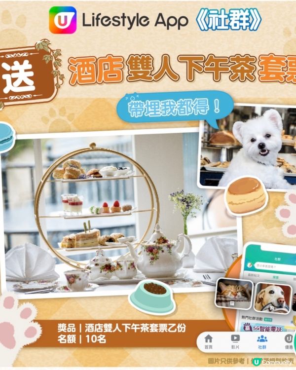 🐨可以帶爸爸媽媽去high tea🥳