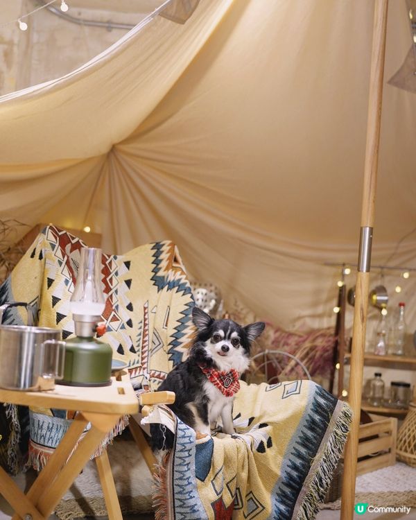 ℒ𝑜𝑜𝓅 𝒦𝓊𝓁𝓉𝓊𝓇𝑒 🏕️🏕️🏕️