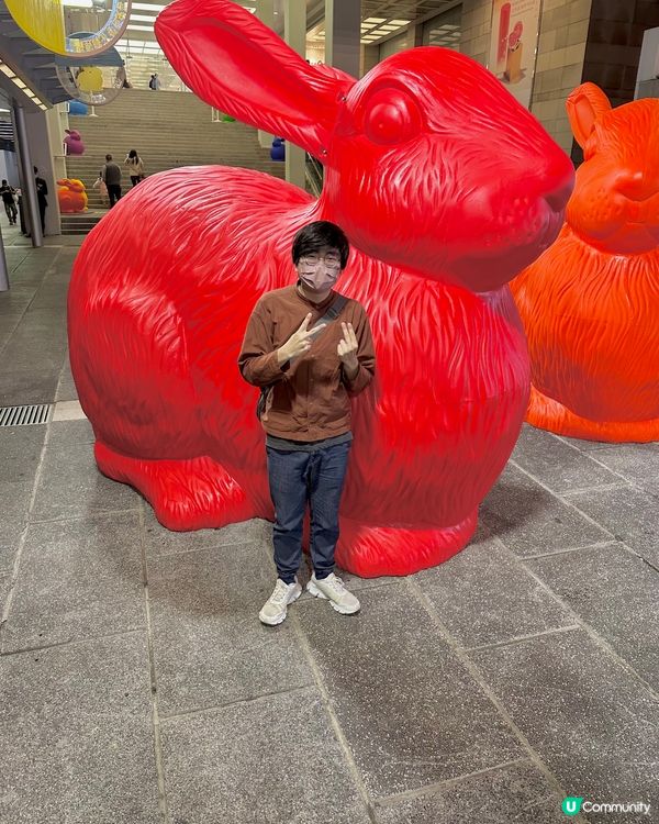 兔兔 💚🌈❤️ 環保