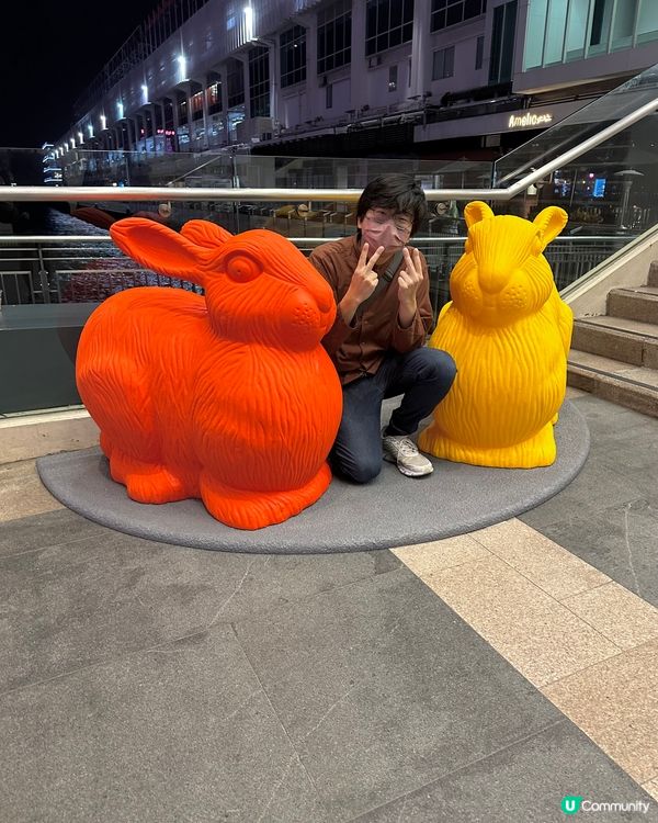 兔兔 💚🌈❤️ 環保