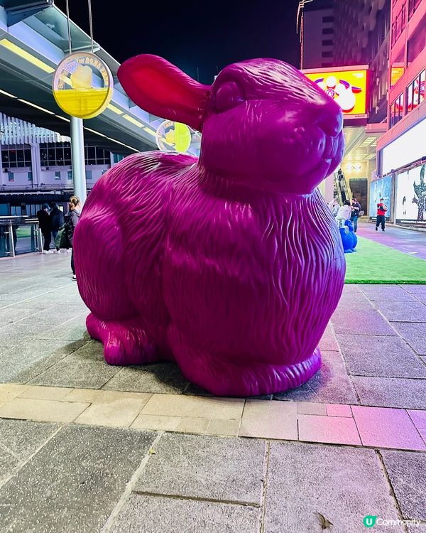 兔兔 💚🌈❤️ 環保