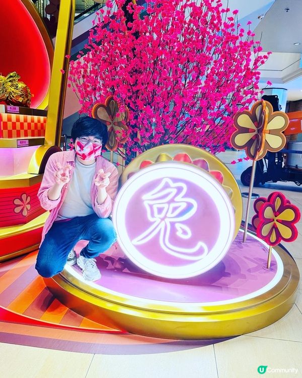 北角港運城 金色兔年錦盒