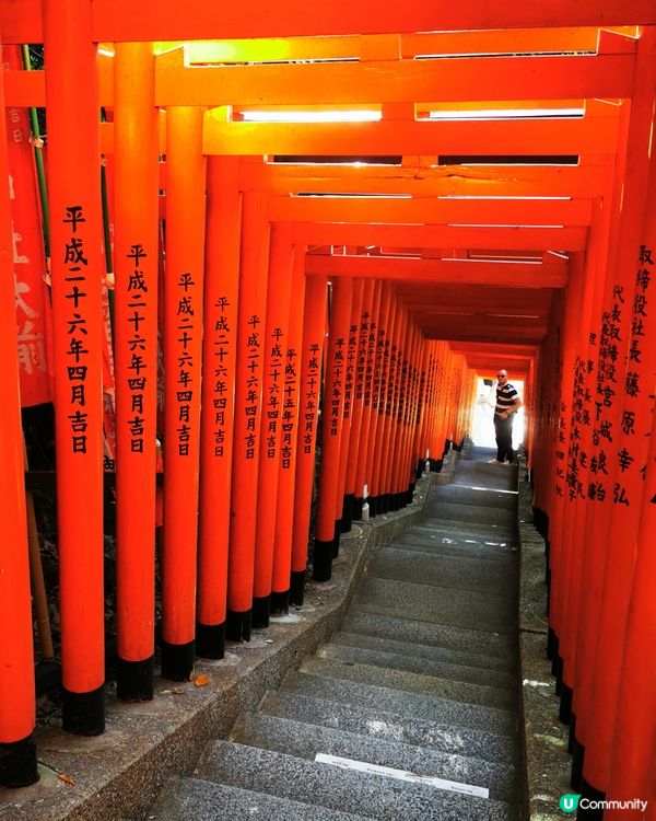 鳥居 東京都有 唔洗同人迫 一樣咁神聖